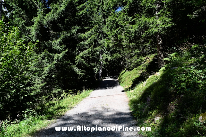 Passeggiata Baita Alpina - Cros del Cuc