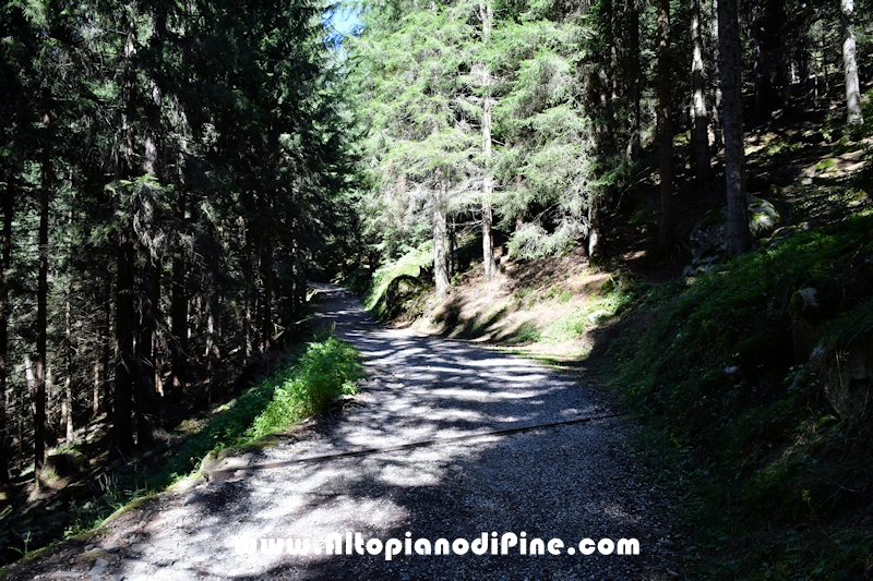 Passeggiata Baita Alpina - Cros del Cuc