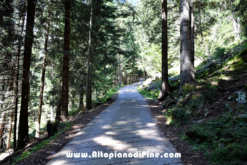 Passeggiata Baita Alpina - Cros del Cuc