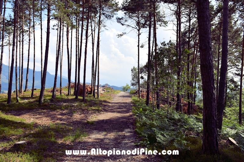 Passeggiata Bedolpian - Lago delle Rane - Tressilla