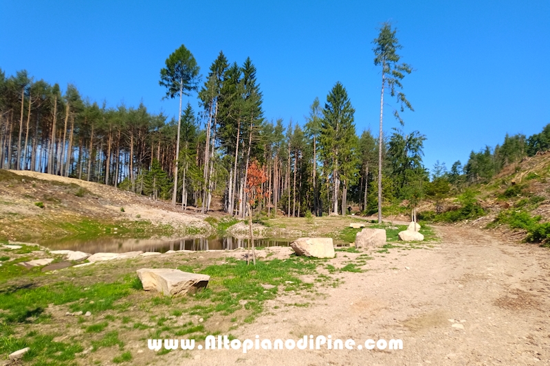 Giro di Bedolpian