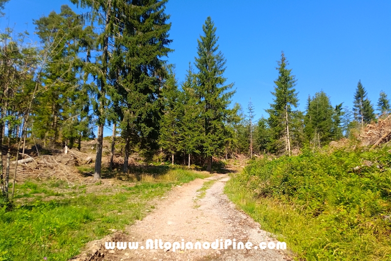 Giro di Bedolpian