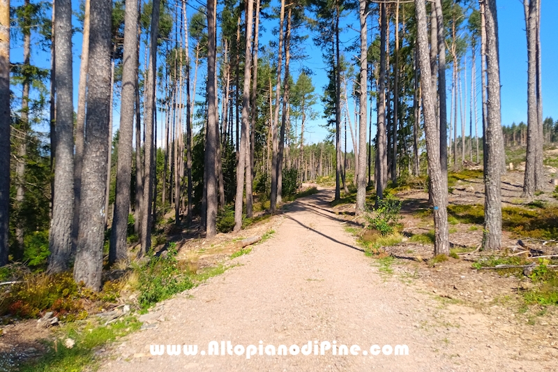 Giro di Bedolpian