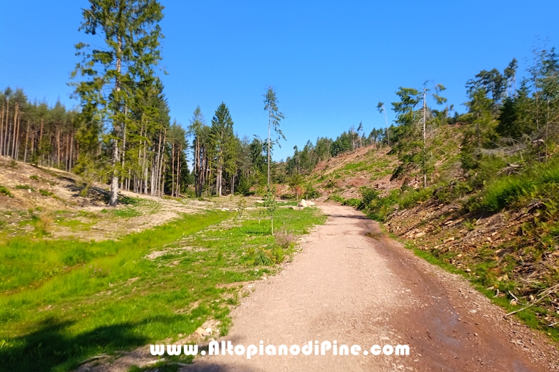 Giro di Bedolpian