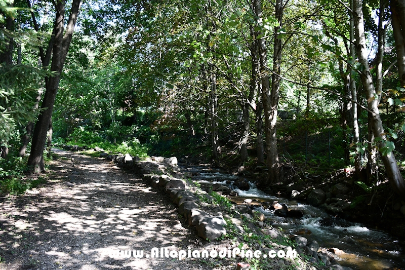 Passeggiata Tressilla - Baselga lungo il rio Silla