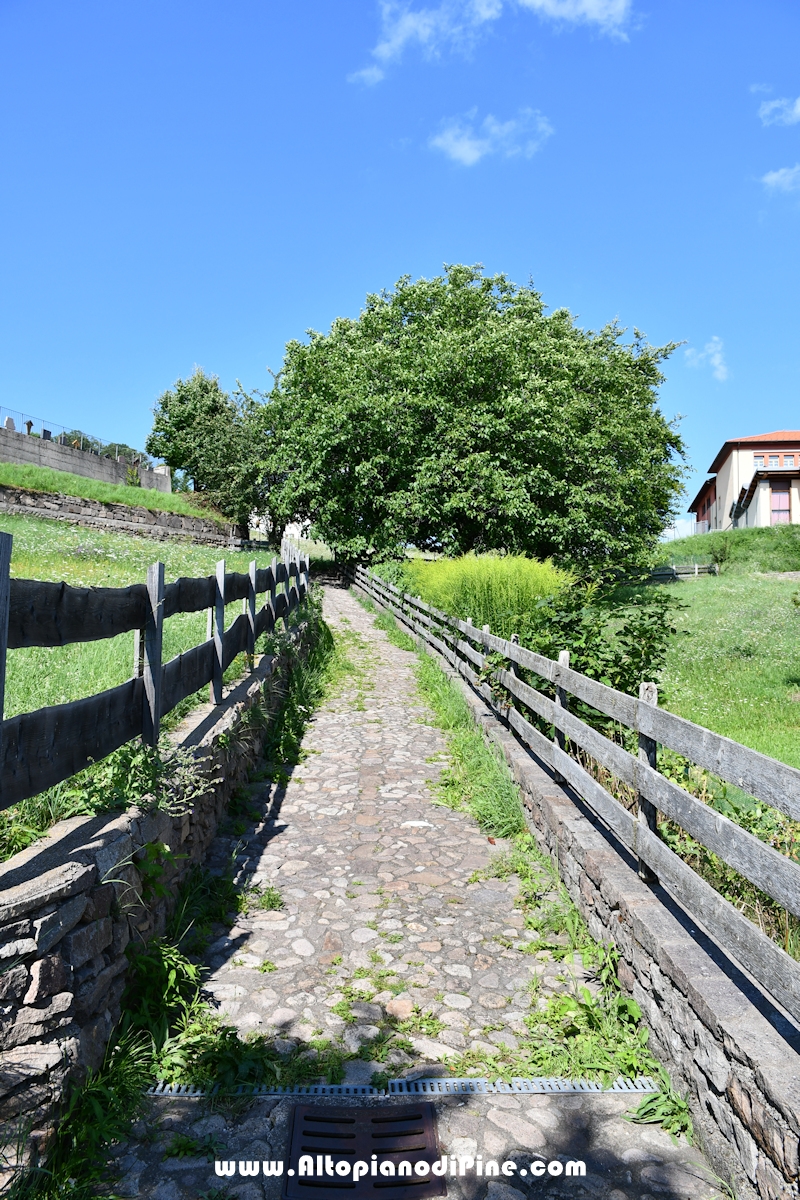 Passeggiata Tressilla - Baselga lungo il rio Silla