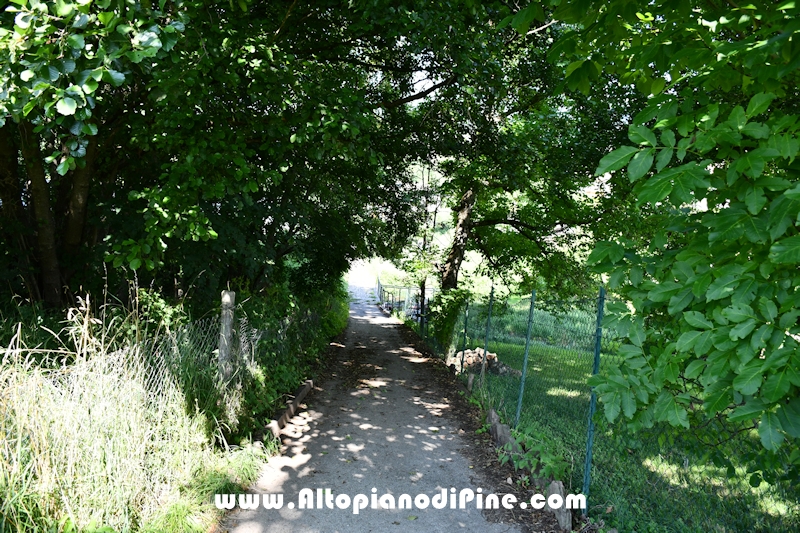 Passeggiata Tressilla - Baselga lungo il rio Silla
