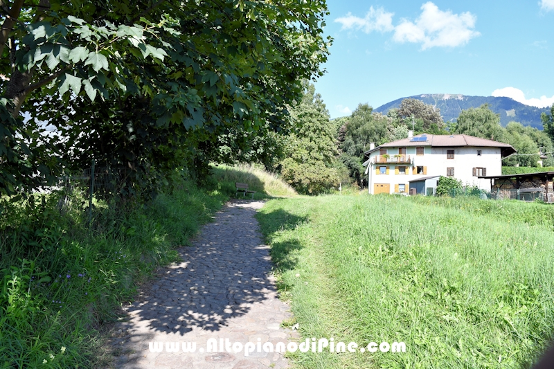 Passeggiata Tressilla - Baselga lungo il rio Silla