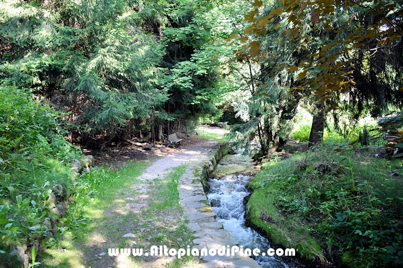 Passeggiata Tressilla - Baselga lungo il rio Silla