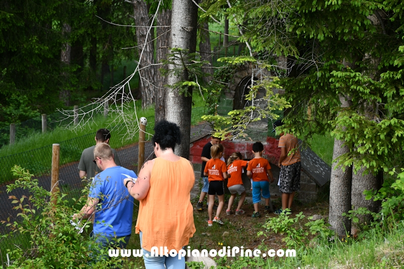 Gara Sociale Orienteering Piné 2022 