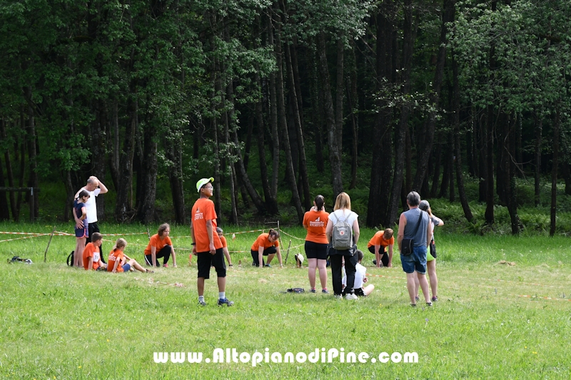 Gara Sociale Orienteering Piné 2022
