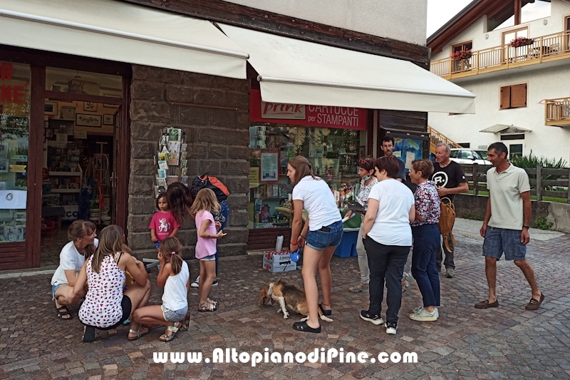 LineacolorPiné passaggio di gestione12 settembre 2021