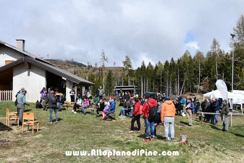 Co.Scienza Festival - piantumazione abeti rossi a Bedolpian - 24 aprile 2022