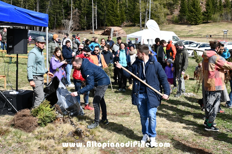 Co.Scienza Festival - piantumazione abeti rossi a Bedolpian - 24 aprile 2022