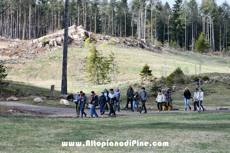 Co.Scienza Festival - piantumazione abeti rossi a Bedolpian - 24 aprile 2022