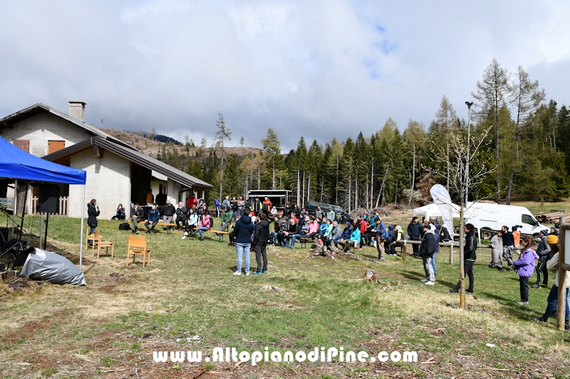 Co.Scienza Festival - piantumazione abeti rossi a Bedolpian - 24 aprile 2022