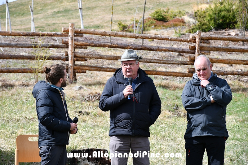 Co.Scienza Festival - piantumazione abeti rossi a Bedolpian - 24 aprile 2022