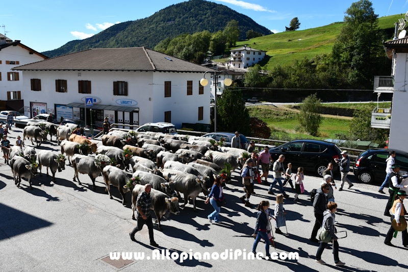 Desmalgada 2022 - Centrale di Bedollo