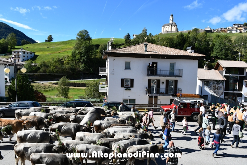 Desmalgada 2022 - Centrale di Bedollo