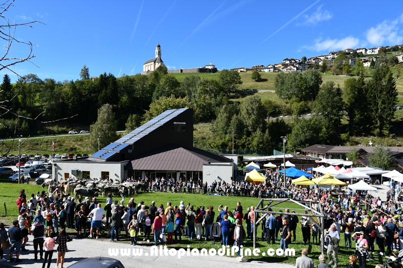 Desmalgada 2022 - Centrale di Bedollo