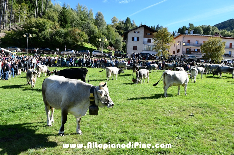 Desmalgada 2022 - Centrale di Bedollo