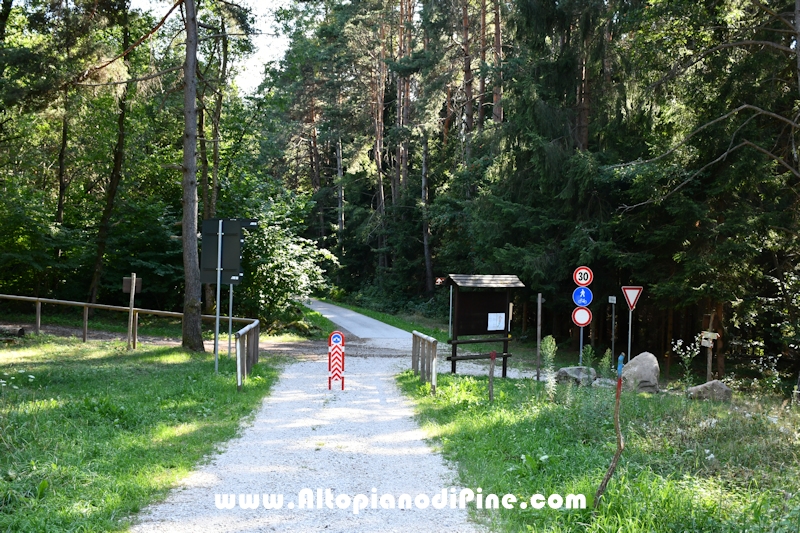 Passeggiata Ferrari - Quarta Comparsa