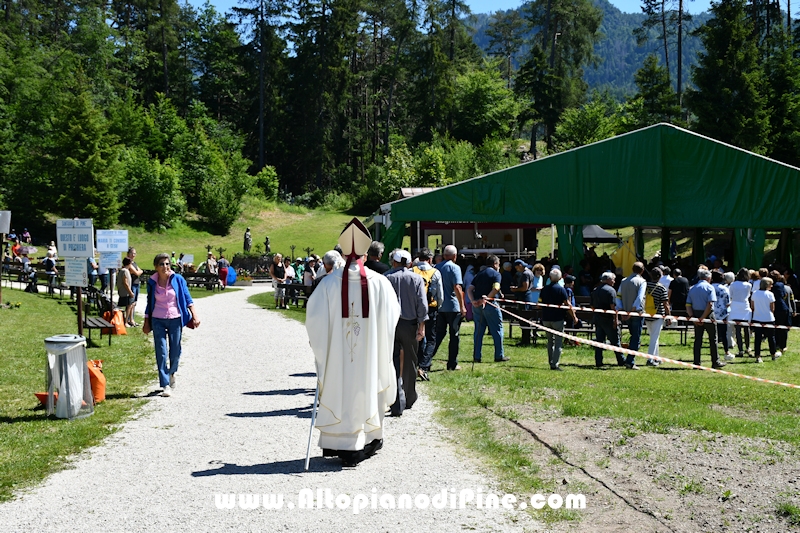 Pellegrinaggio Diocesano a Pine' 2022