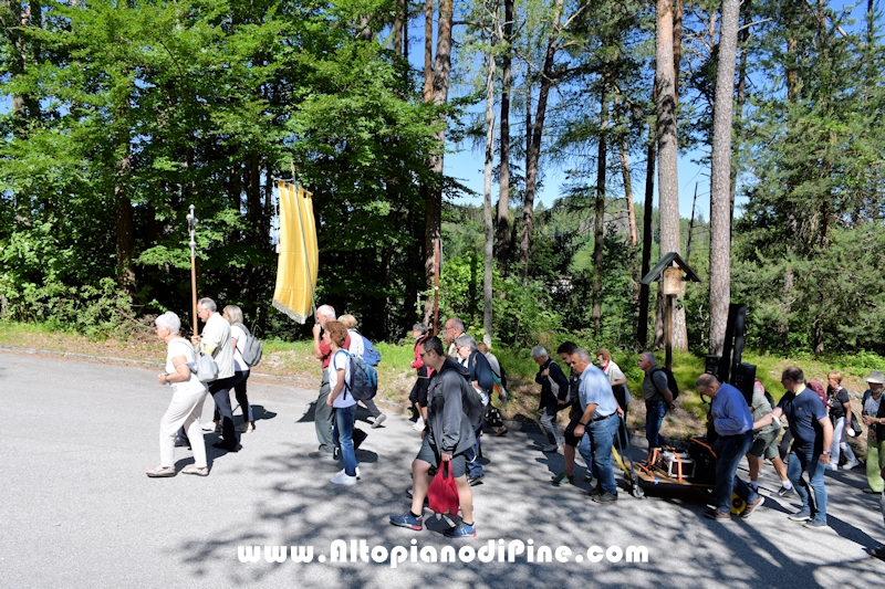 Pellegrinaggio Diocesano a Pine' 2022