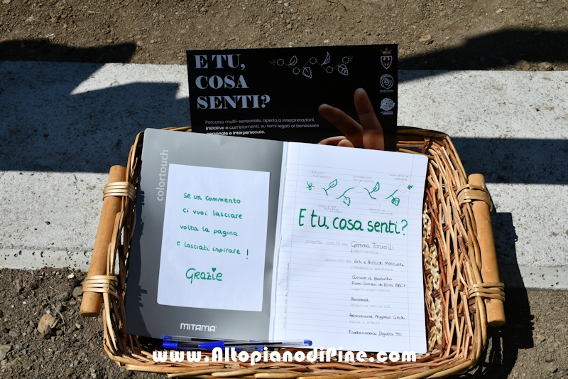 Percorso multisensoriale Centrale - Brusago