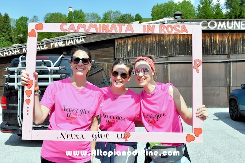 Camminata in Rosa - Centrale Brusago - maggio 2023