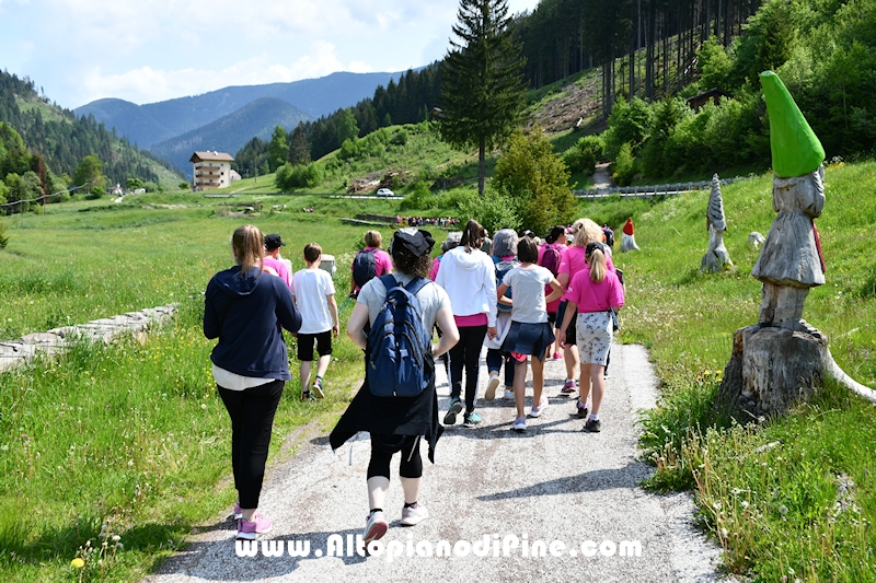 Camminata in Rosa - Centrale Brusago - maggio 2023