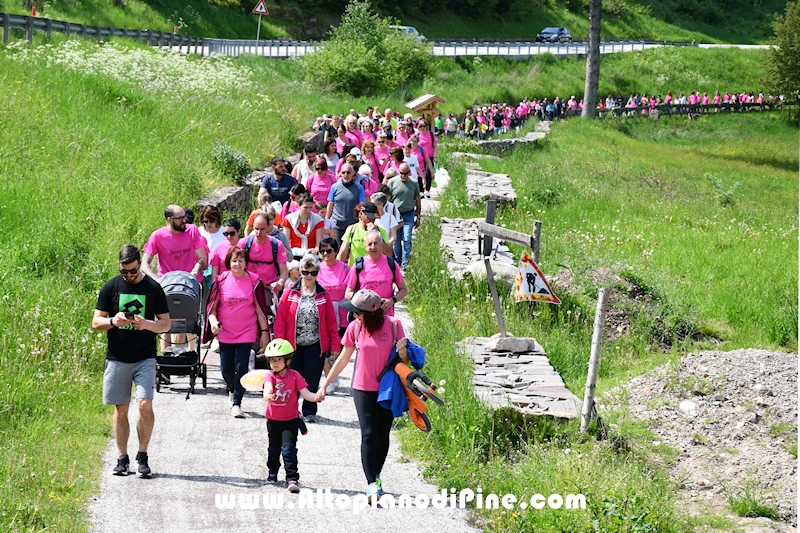 Camminata in Rosa - Centrale Brusago - maggio 2023