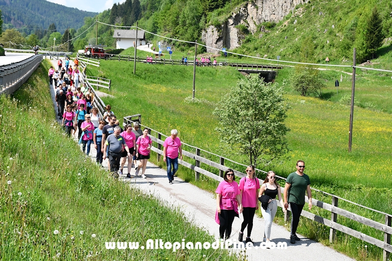 Camminata in Rosa - Centrale Brusago - maggio 2023