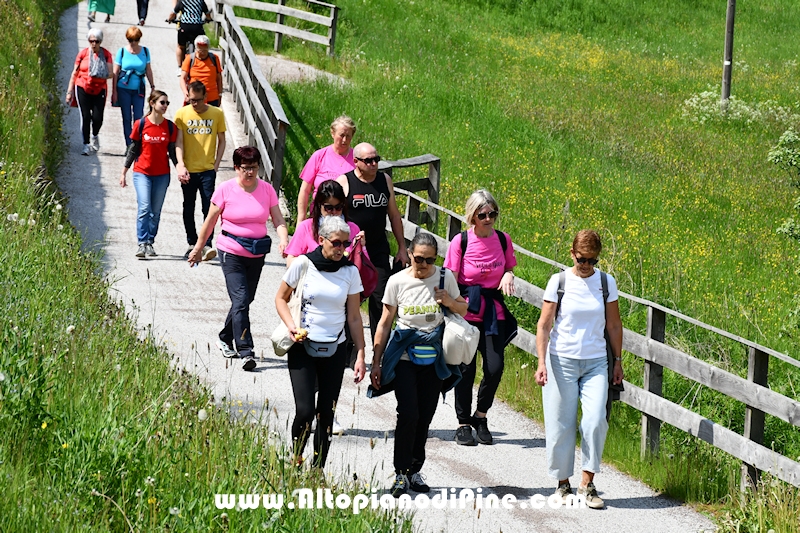 Camminata in Rosa - Centrale Brusago - maggio 2023