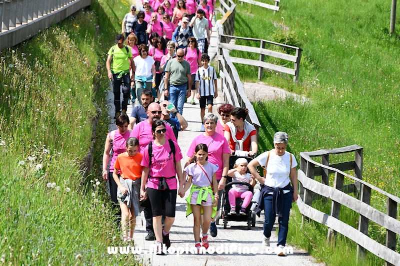 Camminata in Rosa - Centrale Brusago - maggio 2023
