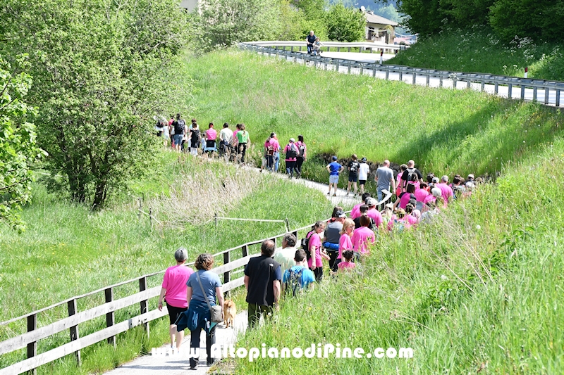 Camminata in Rosa - Centrale Brusago - maggio 2023