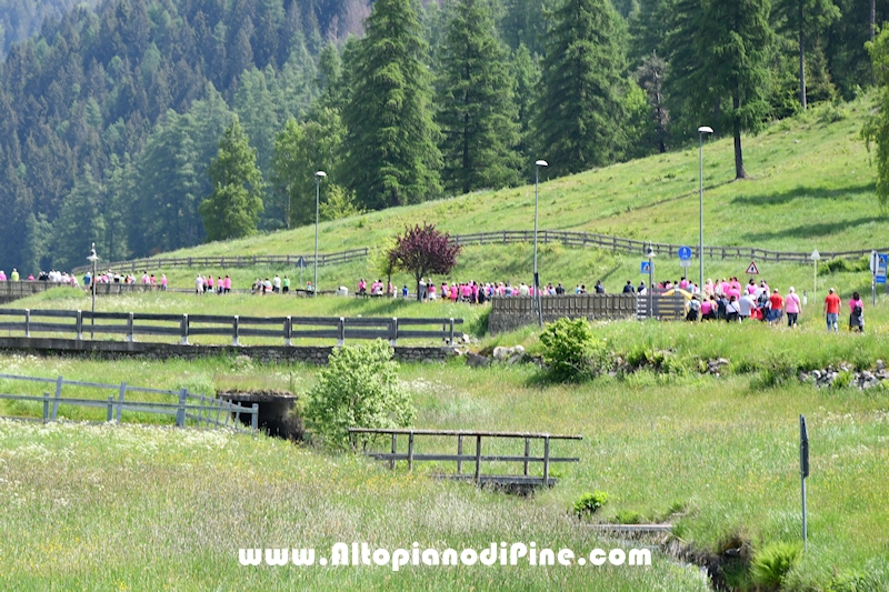 Camminata in Rosa - Centrale Brusago - maggio 2023