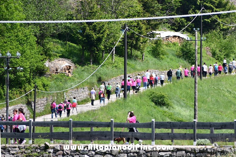 Camminata in Rosa - Centrale Brusago - maggio 2023