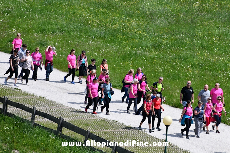 Camminata in Rosa - Centrale Brusago - maggio 2023