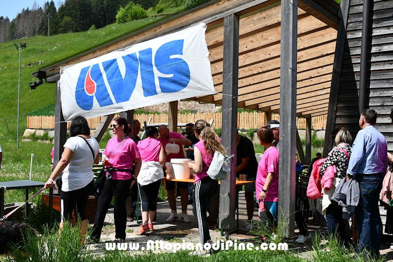 Camminata in Rosa - Centrale Brusago - maggio 2023