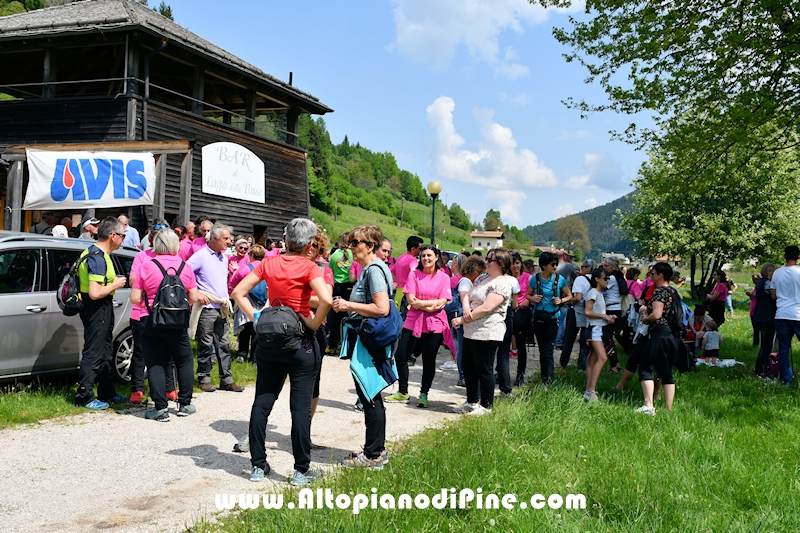 Camminata in Rosa - Centrale Brusago - maggio 2023