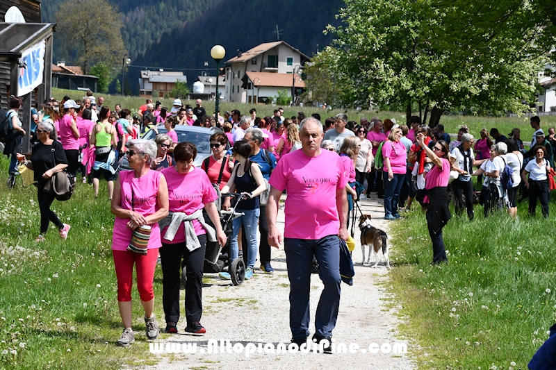 Camminata in Rosa - Centrale Brusago - maggio 2023