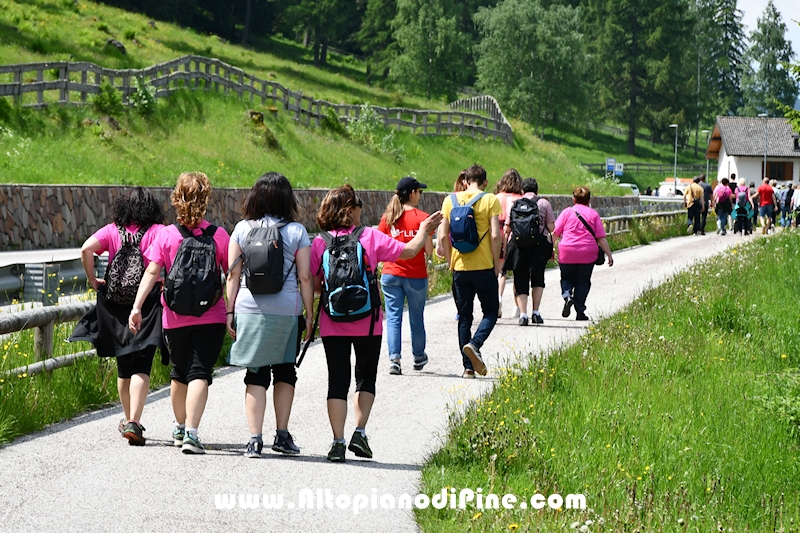 Camminata in Rosa - Centrale Brusago - maggio 2023