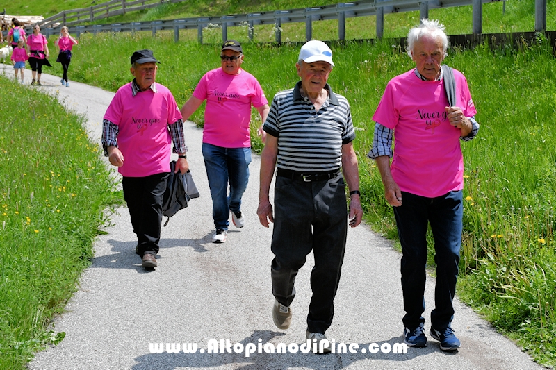 Camminata in Rosa - Centrale Brusago - maggio 2023