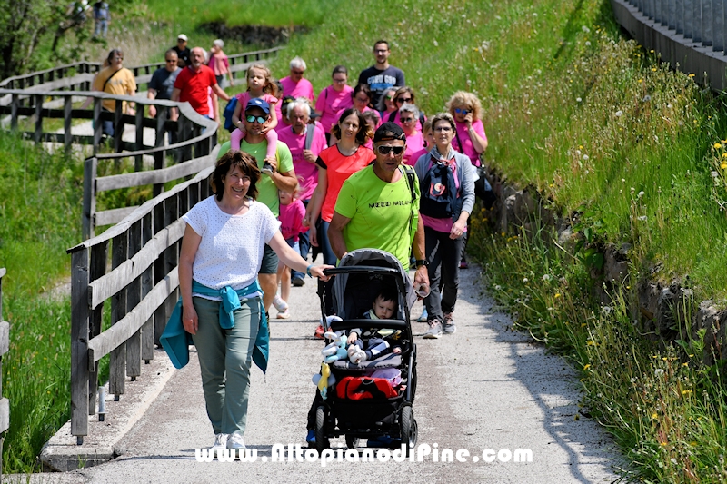 Camminata in Rosa - Centrale Brusago - maggio 2023