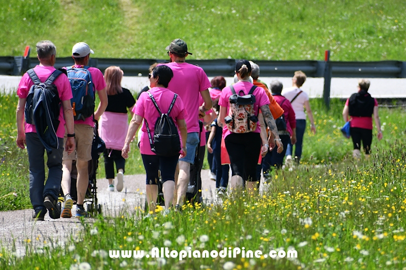Camminata in Rosa - Centrale Brusago - maggio 2023