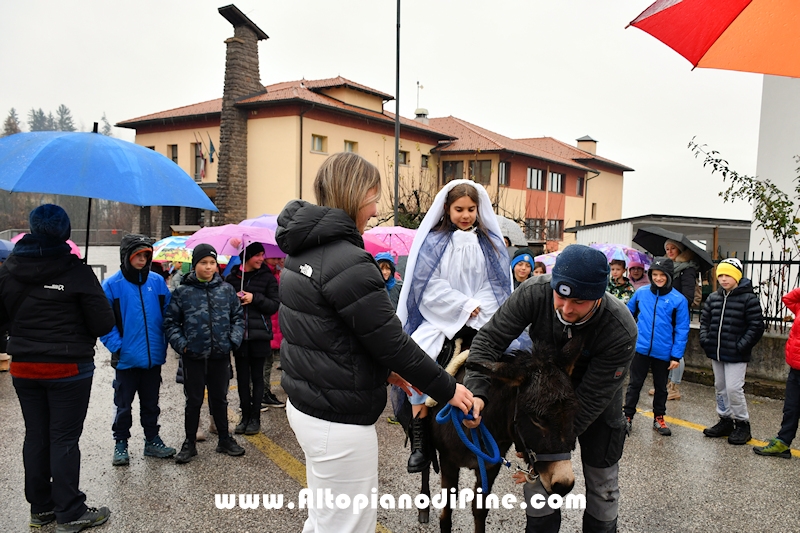 Tressilla S. Lucia 2023