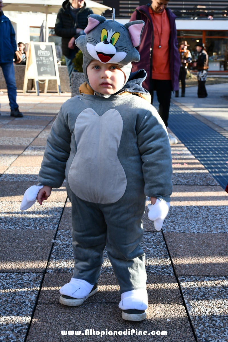 Pineé - Carnevale 2024 