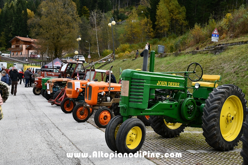 17° mostra provinciale Capra Pezzata Mochena - Centrale di Bedollo 2024