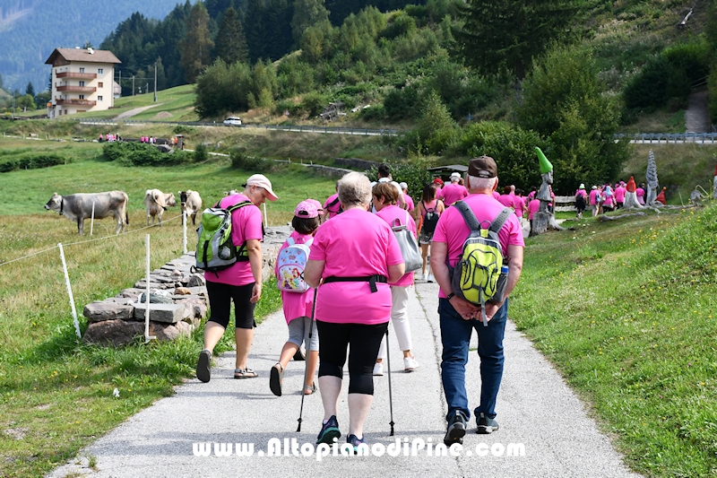 Camminata in Rosa - Centrale Brusago - settembre 2024